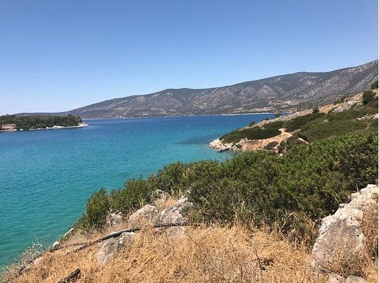 Ερμιονίδας